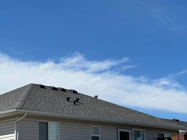 Best Chimney Flashing Repair  in Victoria, TX